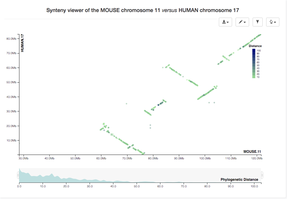 Synteny dotplot of selected chromosome pair
