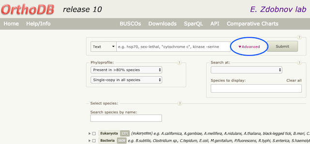 OrthoDB's advanced search with PhyloProfile option